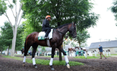 FanDuel Promo Code: Claim $500 Belmont Stakes No-Sweat Bet This Weekend