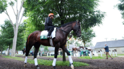 FanDuel Promo Code: Claim $500 Belmont Stakes No-Sweat Bet This Weekend