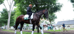 FanDuel Promo Code: Claim $500 Belmont Stakes No-Sweat Bet This Weekend