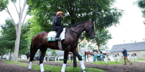FanDuel Promo Code: Claim $500 Belmont Stakes No-Sweat Bet This Weekend