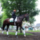 FanDuel Promo Code: Claim $500 Belmont Stakes No-Sweat Bet This Weekend