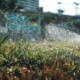 Farmers Provided with Free Irrigation Water for Drought