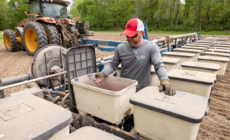 The Surprising Impact of Trump’s Tariffs On American Farmers