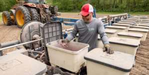 The Surprising Impact of Trump’s Tariffs On American Farmers