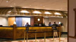 International arrivals boost tourism segment