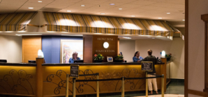 International arrivals boost tourism segment