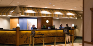 International arrivals boost tourism segment