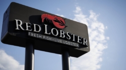 Red Lobster claws its way out of bankruptcy after judge approves sale