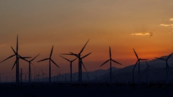 Senate version of Trump’s “big, beautiful bill” would pummel renewable energy industry with new tax