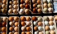 Egg prices for consumers fell to 5-month low in May. Here’s why.