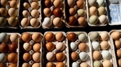Egg prices for consumers fell to 5-month low in May. Here’s why.
