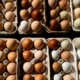 Egg prices for consumers fell to 5-month low in May. Here’s why.