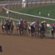 Patch Adams wins 2025 Woody Stephens Stakes