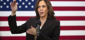 As Washington loses luster, more senators run for governor