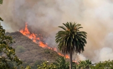 Brush fire in Burbank prompts evacuations, swells to 8 acres