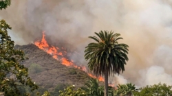 Brush fire in Burbank prompts evacuations, swells to 8 acres