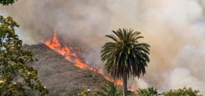 Brush fire in Burbank prompts evacuations, swells to 8 acres