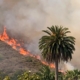 Brush fire in Burbank prompts evacuations, swells to 8 acres