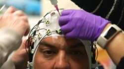 California veterans urge study of ‘lifesaving’ psychedelic therapy