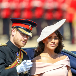 Sussexes not invited to Trooping the Colour as royals maintain distance: expert