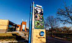 Some NCAA Athletes Can Now Be Paid by Schools: What to Know