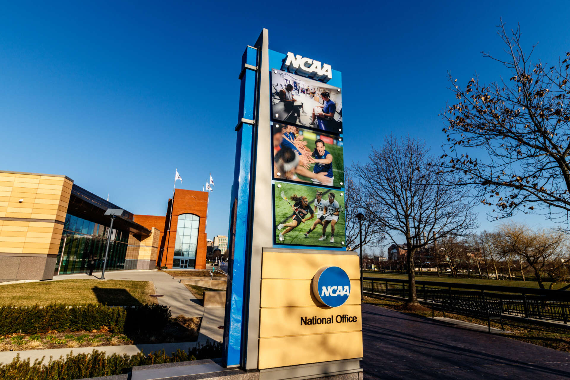 Some NCAA Athletes Can Now Be Paid by Schools: What to Know