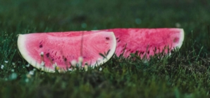 Melon Season Has Begun with Increased Exports and Sharp Decline in Imports