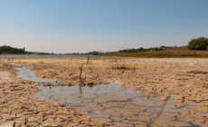 Hidden Buildings Revealed as Water Levels Plunge at Popular Texas Lake