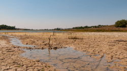 Hidden Buildings Revealed as Water Levels Plunge at Popular Texas Lake