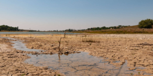 Hidden Buildings Revealed as Water Levels Plunge at Popular Texas Lake