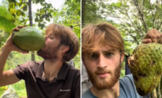 Gen Z Man Wants To Live off Grid—Buys 7.5 Acres of Colombian Jungle