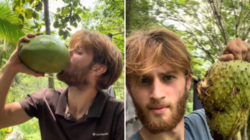 Gen Z Man Wants To Live off Grid—Buys 7.5 Acres of Colombian Jungle