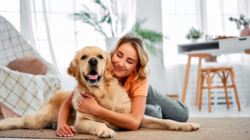 Four Signs Your Dog Thinks of You as Its Parent