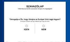 Over 1.6 million votes submitted in Voks 2025 on Ukraine’s accession to EU
