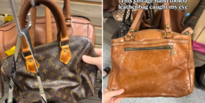 Woman Has Just 20 Minutes to Thrift, ‘Chills’ at What She Manages to Find