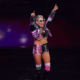 WWE Superstar Natalya Neidhart Makes Pro Wrestling History