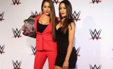 Nikki Bella Turned Down Special Perk Upon WWE Return