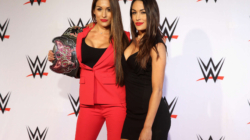 Nikki Bella Turned Down Special Perk Upon WWE Return