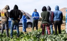 Fear of ICE raids is making heat intolerable for immigrant families