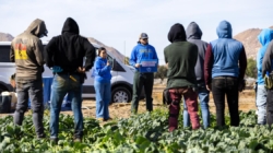 Fear of ICE raids is making heat intolerable for immigrant families