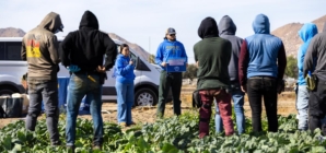 Fear of ICE raids is making heat intolerable for immigrant families