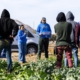 Fear of ICE raids is making heat intolerable for immigrant families