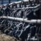 California dairy farmers get $230 million to help cover costs of bird flu losses