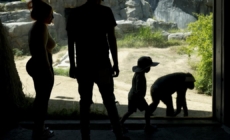 Inside the L.A. Zoo’s messy $50-million breakup