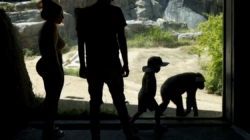 Inside the L.A. Zoo’s messy $50-million breakup