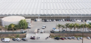 Pot farm raided by immigration agents has open child labor complaint, state says