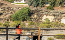 Burned body found in brush fire in Santa Clarita