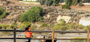 Burned body found in brush fire in Santa Clarita