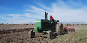 Hungarian farmers protest against ‘drastic reduction’ in agricultural support