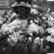 Ukrainian Secret Service Allegedly Influenced Autopsy in Hungarian Man’s Controversial Death